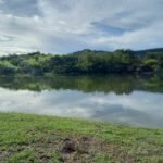 Paisagens ou Territórios Sonoros para sentipensar com a terra