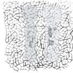 Volumographic reduction is not phenomenological reduction